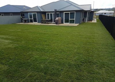 Ready Lawn Before and After