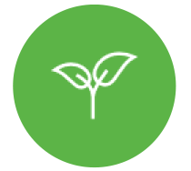 Sprout Icon | Quality Workmanship